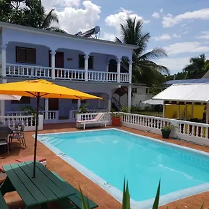 Almond Tree & Ocho Rios